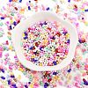Baking Paint Glass Seed Beads SEED-A033-04N-2