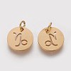 Ion Plating(IP) 304 Stainless Steel Pendants A-STAS-Q201-T445-10G-2