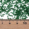 15/0 Transparent Czech Glass Seed Beads SEED-N004-004-08-6