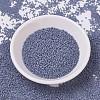 MIYUKI Delica Beads SEED-JP0008-DB0799-2