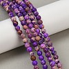Dyed Natural Regalite/Imperial Jasper/Sea Sediment Jasper Beads Strands G-B124-C04-09-5