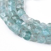 Natural Apatite Beads Strands G-L537-002-2