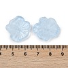 Transparent Glass Beads DGLA-E004-02B-3