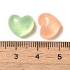 Transparent Resin Decoden Cabochons with Glitter Powder X-RESI-E053-08C-3