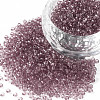 12/0 Grade A Round Glass Seed Beads SEED-Q006-F10-1