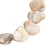 Summer Beach Natural Shell Beaded Necklaces NJEW-A033-02B-G-3