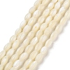 Natural Trochid Shell/Trochus Shell Beads Strands PBB513Y-1