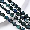 Natural Chrysocolla and Lapis Lazuli Beads Strands G-N330-031-4