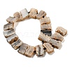Natural Druzy Agate Beads Strands G-NH0001-A01-01-3