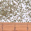 MIYUKI Delica Beads SEED-MY11-DB0508-4