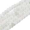 Natural Tianshan Cui Quartzite Beads Strands X-G-B046-01E-1