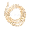 Transparent Electroplate Glass Beads Strands GLAA-T032-T4mm-C13-2