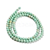 Assembled Synthetic Stone and Trochus Shell Beads Strands G-B128-08A-02-2