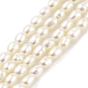 Natural Cultured Freshwater Pearl Beads Strands PEAR-P062-22-1