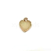 Resin with Golden Zinc Alloy Charms RESI-CJC0009-04A-1