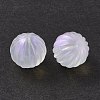 Transparent Acrylic Beads OACR-P007-19-4