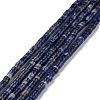 Natural Sodalite Beads Strands G-P468-19-1