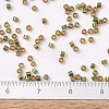 MIYUKI Delica Beads SEED-MY11-DB1739-4