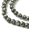 Natural Gemstone Beads Strands G-D067-I03-C02-3