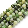Natural Serpentine Beads Strands G-Z110-C04-6mm-2