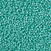 MIYUKI Round Rocailles Beads SEED-X0055-RR0571-3