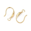 304 Stainless Steel Earring Hooks STAS-Z178-19G-2