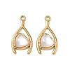 Natural Freshwater Shell Pendants STAS-G397-13G-01-1