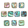 CHGCRAFT 10Pcs Natural Abalone Shell/Paua Shell Cabochons SSHEL-CA0001-05-1