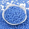 Baking Paint Glass Seed Beads SEED-L011-09A-05-2