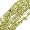 Natural Peridot Beads Strands G-P332-48-01-1