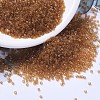 MIYUKI Delica Beads SEED-X0054-DB1101-1