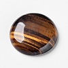 Natural Tiger Eye Cabochons X-G-F298-02-2