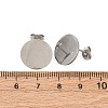 304 Stainless Steel Stud Earring Findings STAS-H436-21P-05-3