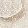 12/0 Glass Seed Beads SDB201-2