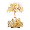 Natural Citrine Display Decorations PW-WG5C4DA-03-1