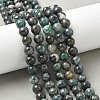 Natural Dioptase Beads Strands G-D302-02-8mm-1