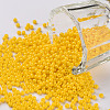 11/0 Grade A Baking Paint Glass Seed Beads X-SEED-N001-A-1002-1