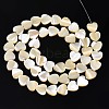 Natural Trochid Shell/Trochus Shell Bead Strands SSHEL-N034-92B-01-2