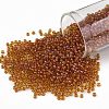 TOHO Round Seed Beads X-SEED-TR11-0303-1