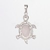 Tortoise Gemstone Pendants G-D648-06-RS-3