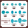 200Pcs 8 Styles Synthetic Turquoise Cabochons TURQ-PH0001-16-2
