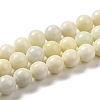 Natural Jade Beads Strands G-H298-A04-03-1