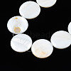 Natural Freshwater Shell Beads Strands SHEL-Q024-006-3