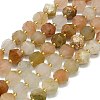 Natural Gemstone Beads Strand G-I376-A18-01-1