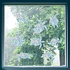 Waterproof PVC Colored Laser Stained Window Film Static Stickers DIY-WH0314-111-7