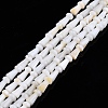 Natural Freshwater Shell Beads Strands SHEL-N026-213-2