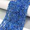 Natural Lapis Lazuli Beads Strands G-L587-A03-01-2