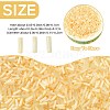 50g Glass Bugle Beads SEED-SZ0001-024G-2