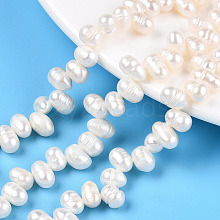 Natural Cultured Freshwater Pearl Beads Strands PEAR-N013-05F-01