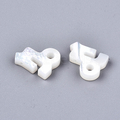Natural White Shell Beads X-SSHEL-ZX004-02K-1